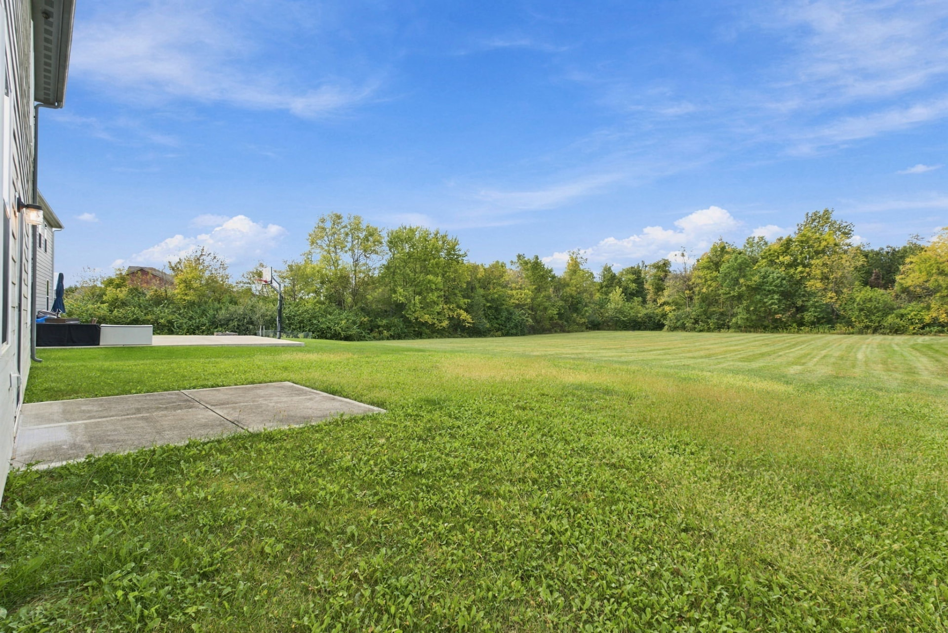 Spacious backyard and open tree-lined green space behind 16352 Sedalia Drive